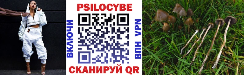 Галлюциногенные грибы мухоморы  Купить где  Бирюсинск 